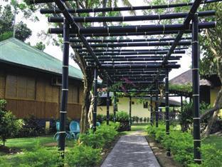 Balicasag Island Dive Resort Bohol Bagian luar foto